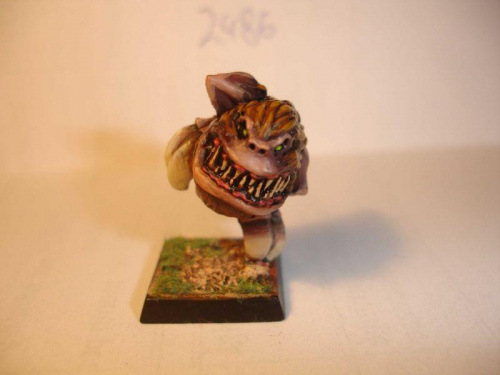 Obrazek