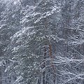 Zima w Kraśniku