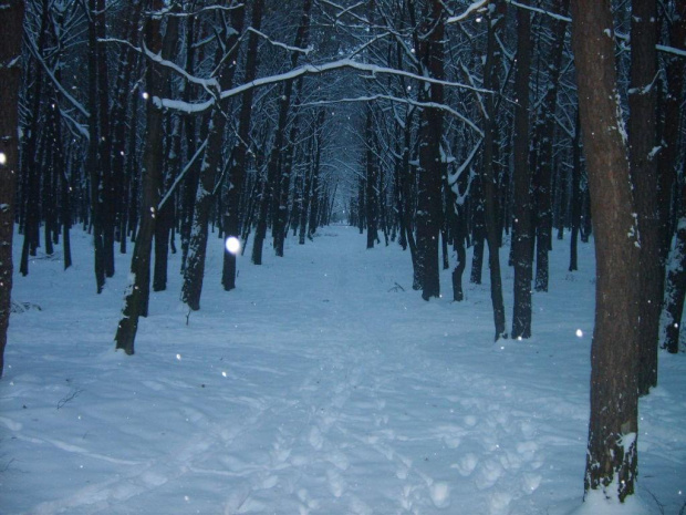 Zima w Kraśniku