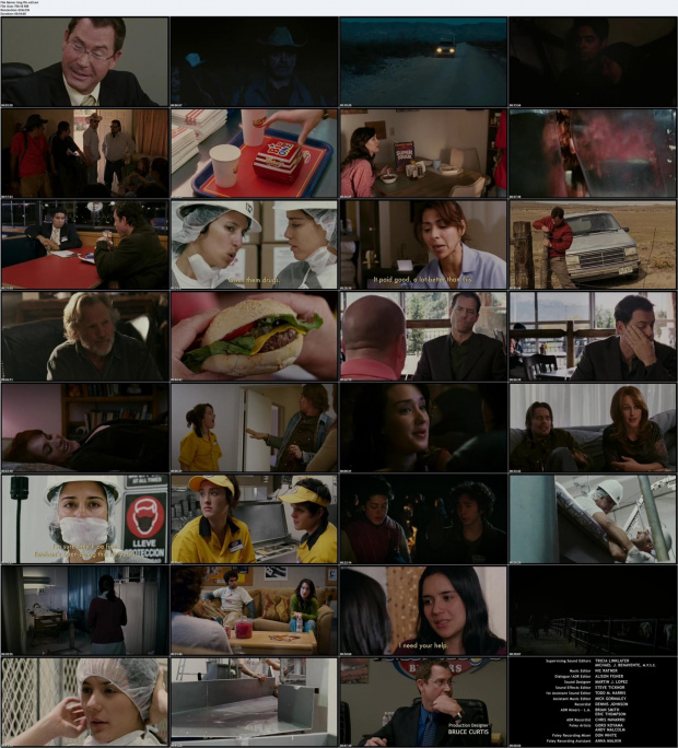 Fast.Food.Nation.LiMiTED.DVDRip.XviD-LMG