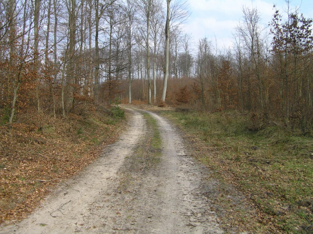 Gdzieś w drodze do Otomina.