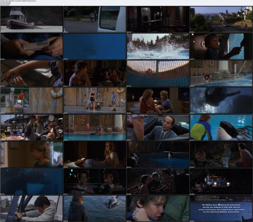 Free.Willy.1993.iNT.DVDRip.XVID-vRs