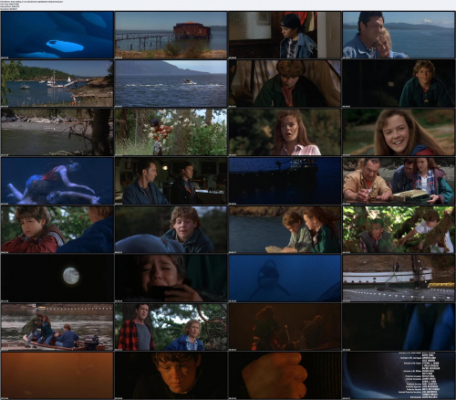 Free.Willy.2.1995.iNT.DVDRip.XVID-vRs