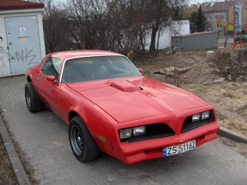 Firebird