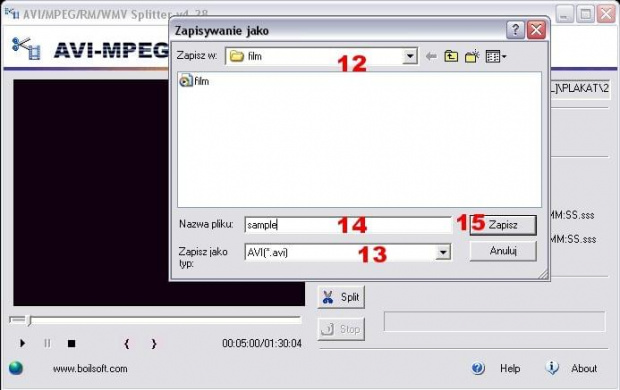 AVI MPEG RM WMV Splitter [4]