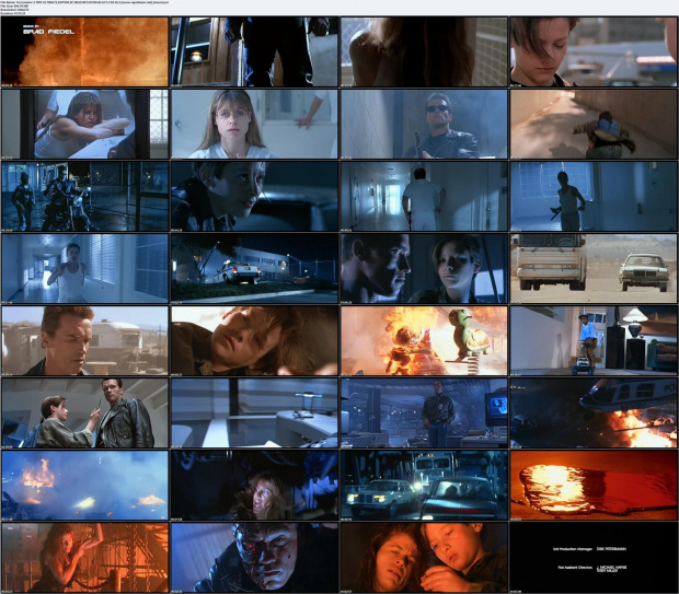 Terminator.2.1991.ULTIMATE.EDITION.READ.NFO.DVDXviD.AC3-HLS