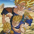 Saiyans Dragon Ball Z