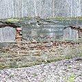 Ruiny w Kaliszkach #RuinyWKaliszkach #Remes #Mazury
