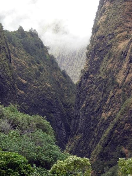 mgła wędruje coraz niżej #dolina #natura #Iao #Hawaje