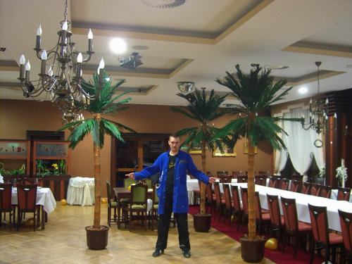 f.u.h.DRZEDAV/ Wykonawca na tle palm w hotelu "KOSMOWSKI" w eWrześni.Wysokość 300cm.
Wzrost wykonawcy 192cm. ;-)