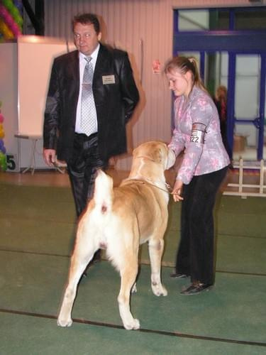 CACIB Show 11.03.2007