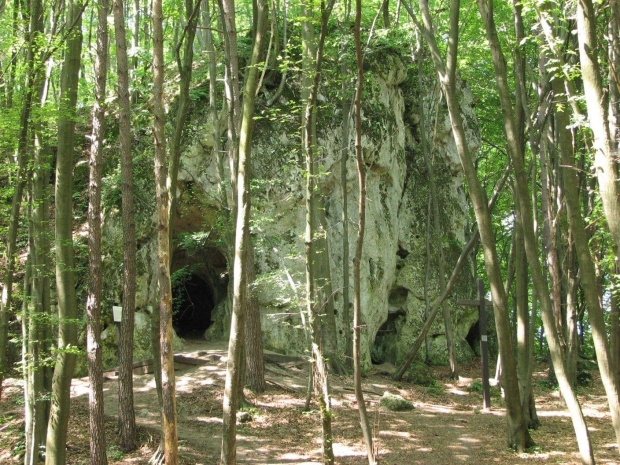 Zamek Ostrężnik.