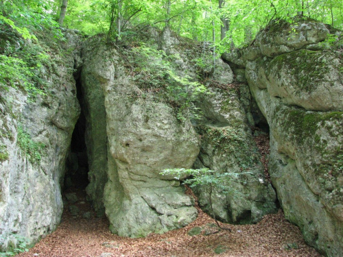 Rezerwat Parkowe.
Jaskinia Niedźwiedzia jeśli się nie mylę.