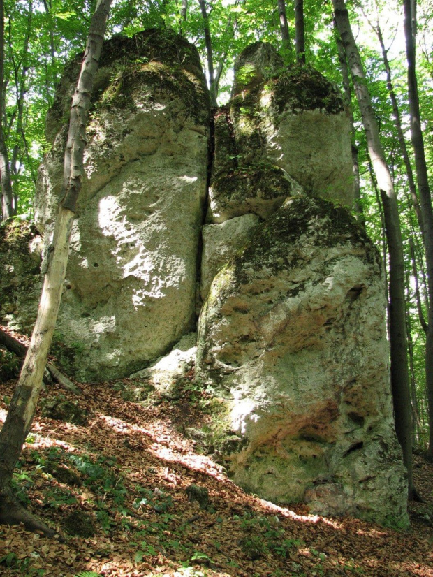 Rezerwat Parkowe.
Ostaniec skalny - jakich pełno na Jurze.