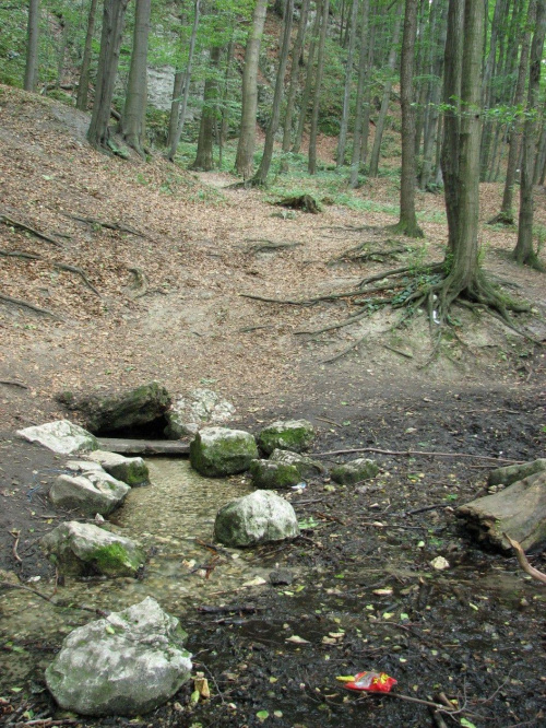 Rezerwat Parkowe.
Źródełko obozowe.