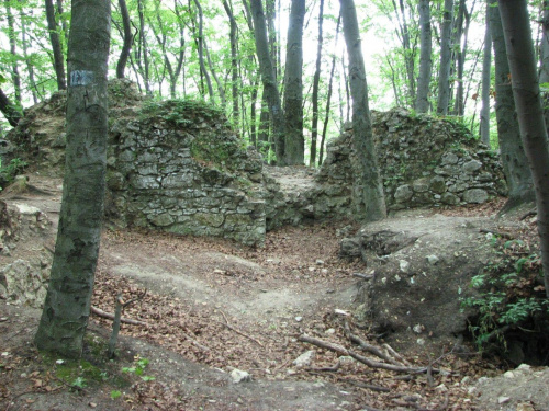 Zamek Ostrężnik.