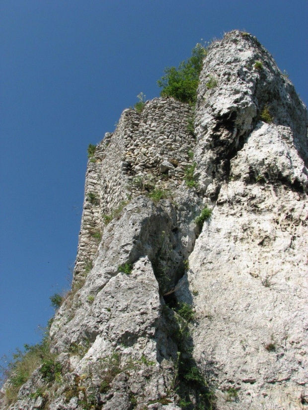 Strażnica Przewodziszowicka.
Zachowany fragment murów.