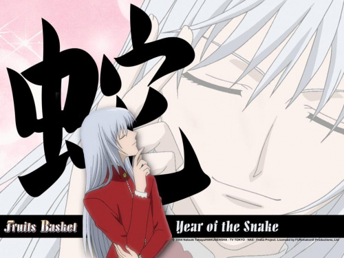 #anime #FruitsBasket