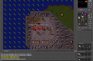 31 lvl #tibia