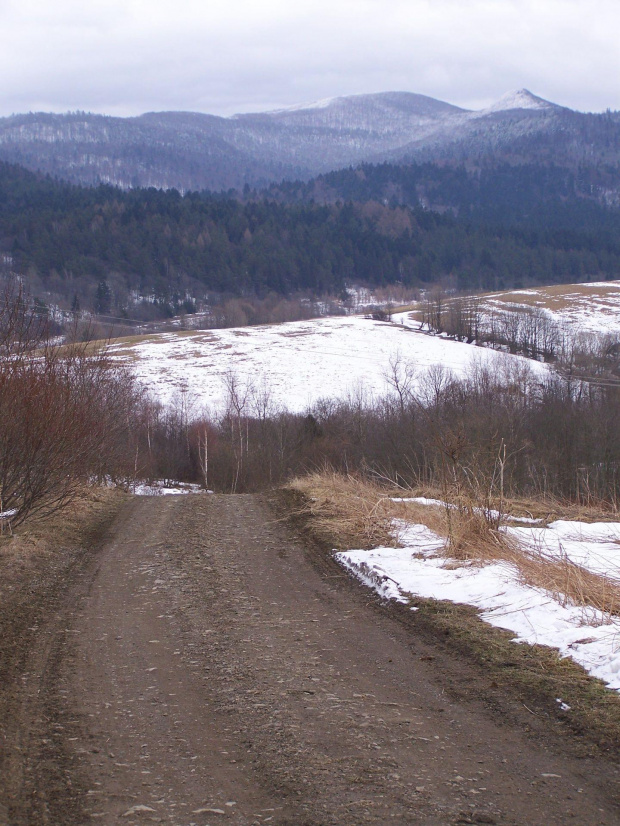 Łopiennik i Łopieninka