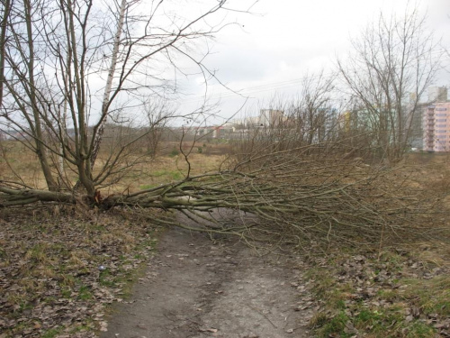 #chmury #olsztyn #wiatr #słońce #światło #niebo #stadion