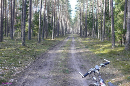 Puszcza Piska #Pisz #Mazury #Rower #BagnaSnopkowskie #Remes