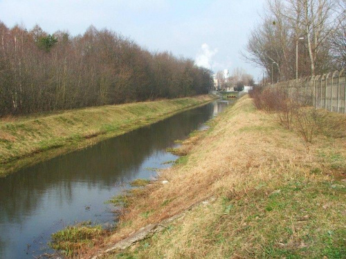 Kanał doprowadzający wodę z Kurówki na potrzeby Zakładów Azotowych #Puławy #Azoty #kurówka #rzeka #kanał