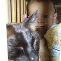 17 marca - pobudka w dwóch odsłonach...