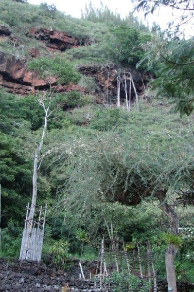 Waimea Valley