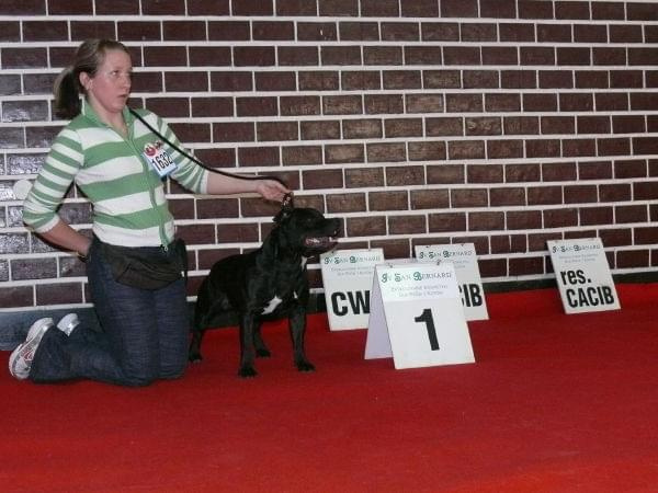 Katowice 2007 II