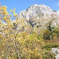 Siodłowa Turnia (1647) #góry #Tatry #jesień