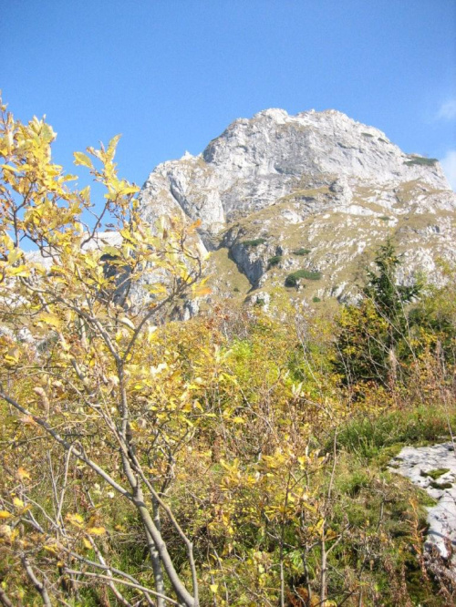 Siodłowa Turnia (1647) #góry #Tatry #jesień