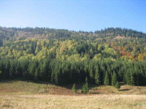 zach. otoczenie Mł. Łąki #góry #Tatry #jesień