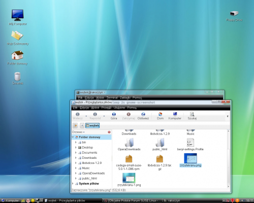 Mój pulpit w openSuse 10.2