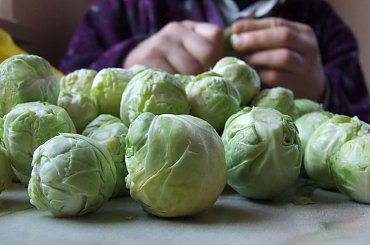 brukselki #brukselki #warzywa #warzywo #zielone #śmieszne #kulki #kuleczki #DużoBrukselek #DużoTego #obrać #ObraćBrukselki #ObieranieBrukselek #MińskMazowiecki #mińsk