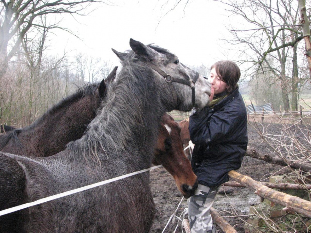 koniki #Fundacja #Tara #Nieszkowice #Scarlet