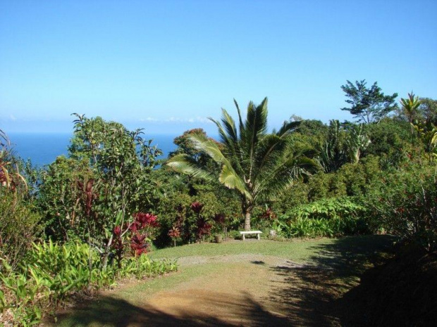 roślinność na każdym kroku Nas zachwyca, #natura #ocean #Hawaje #Maui #Hana