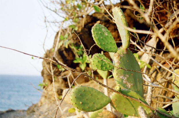 puerto colombia