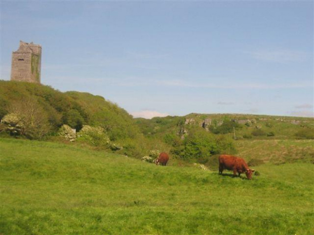 The Burren National Park