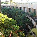 roślinność na balkony się skradała, dachu sięgała, #Hana #Hawaje #Maui #natura #wodospady
