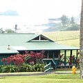 zielony kwieciem otoczony, #Hana #droga #Hawaje #Maui #wyspy #egzotyka