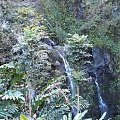 z gór woda spływa tworząc mniejsze, większe wodospady, #Hana #droga #Hawaje #Maui #wyspy #egzotyka