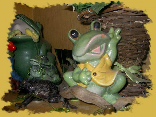 z mojej żabiej kolekcji #hobby #żaby #zbieractwo #kolekcja