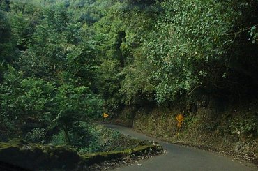 czym wyżej, droga sie zwęziła na długim odcinku, strach jechać, #Hana #droga #Hawaje #Maui #wyspy #egzotyka