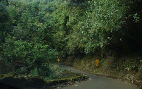 czym wyżej, droga sie zwęziła na długim odcinku, strach jechać, #Hana #droga #Hawaje #Maui #wyspy #egzotyka