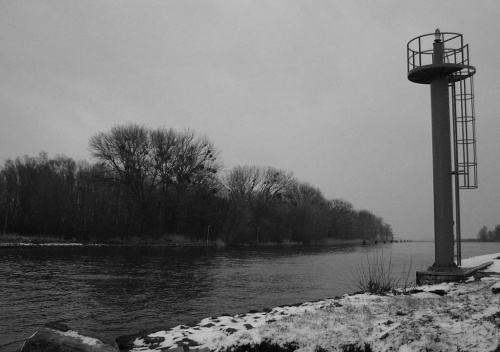 W przytsani... [Śliwka]