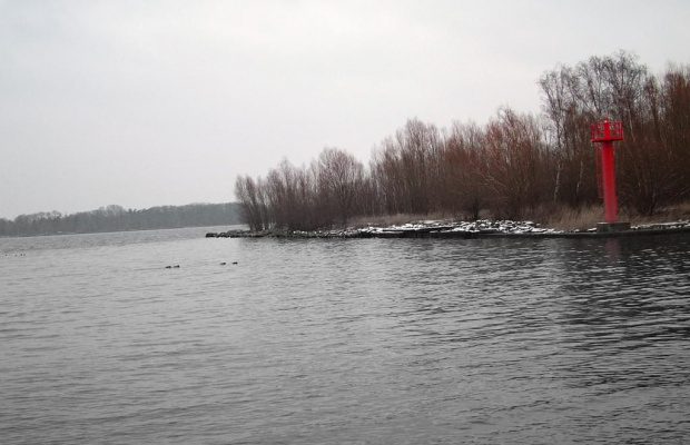 W przystani... [Śliwka]