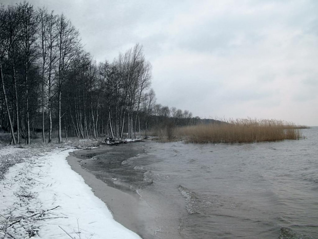 Nad Zalewem... [Śliwka]