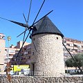 wiartak w Torrevieja