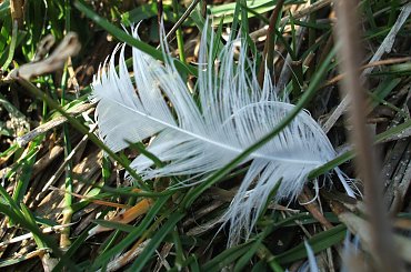 #jezioro #woda #piórka #ludzie